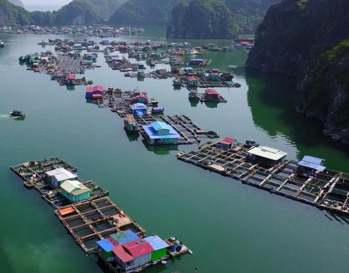 Cat Ba Thailand Hotel Dong Khe Sau Eksteriør bilde